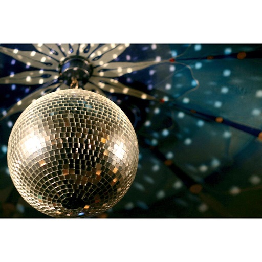 [503213] Esfera Espejada Chica 8" (n°4)