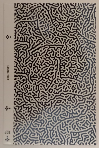 [6700 skn125] Lensun film trasero skn125