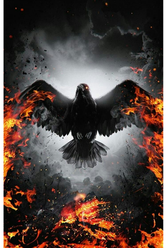 [skn137] Lensun film trasero skn137